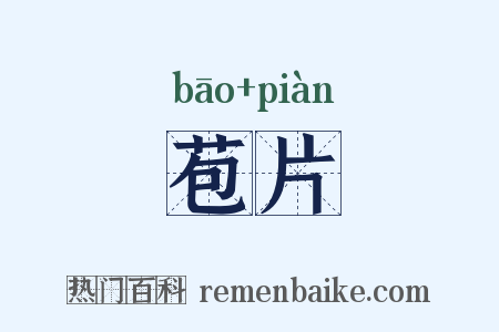 苞片是什么意思的图片